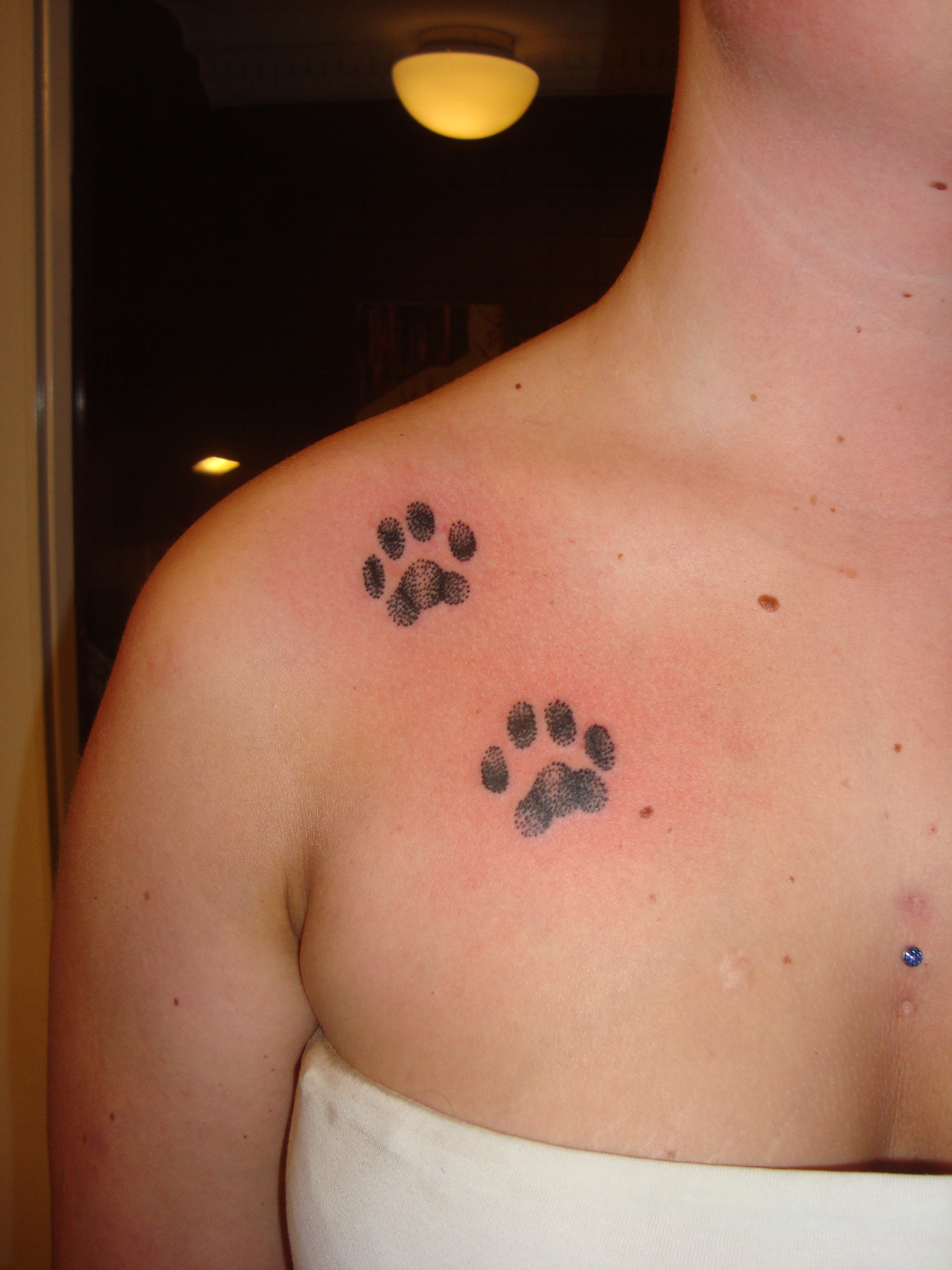 Cat footprints | Mary Jane Tattoo - Dotwork Artist - Artlien gypsy