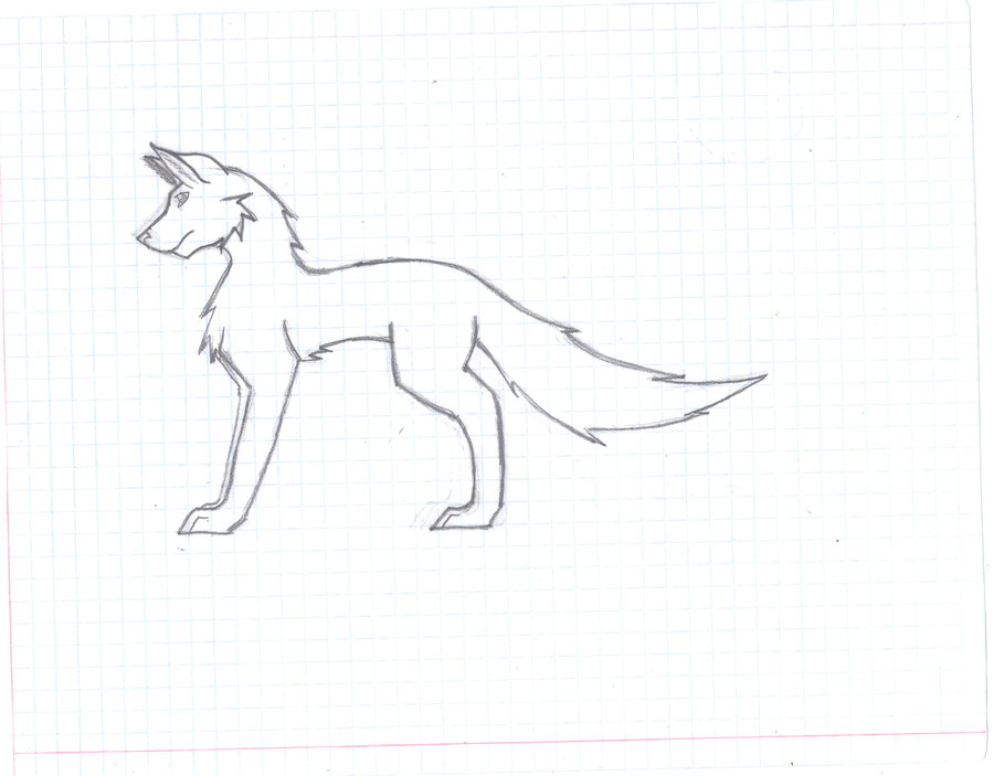 Simple Wolf Drawing - Gallery