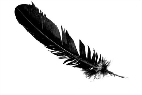Found A Big Black Feather | Signs of Angels