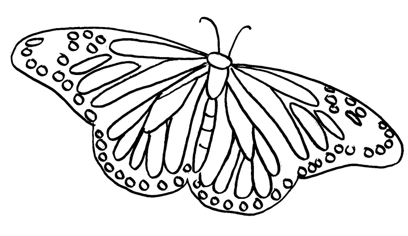 Monarch Butterfly Coloring Pages | Batman Coloring Pages For Kids