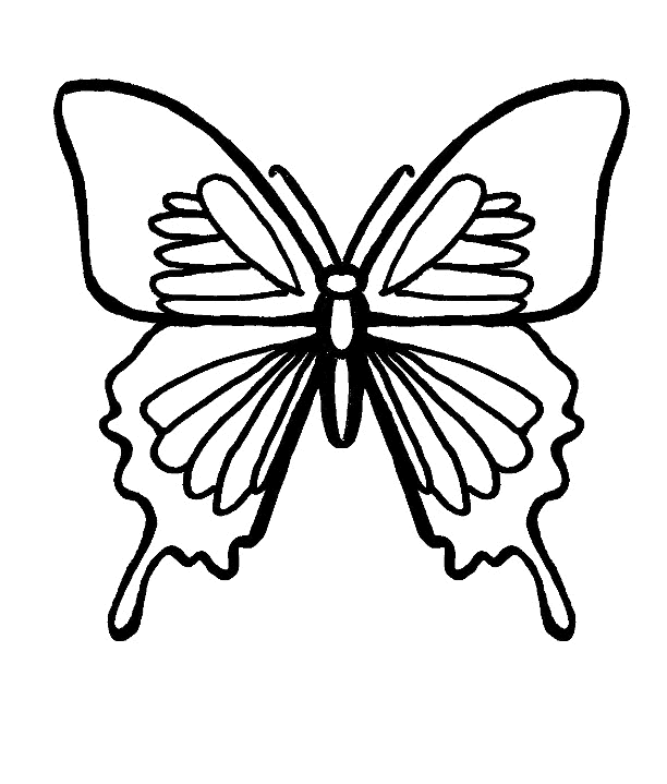 butterfly coloring pages black and white | Free Coloring Page ...