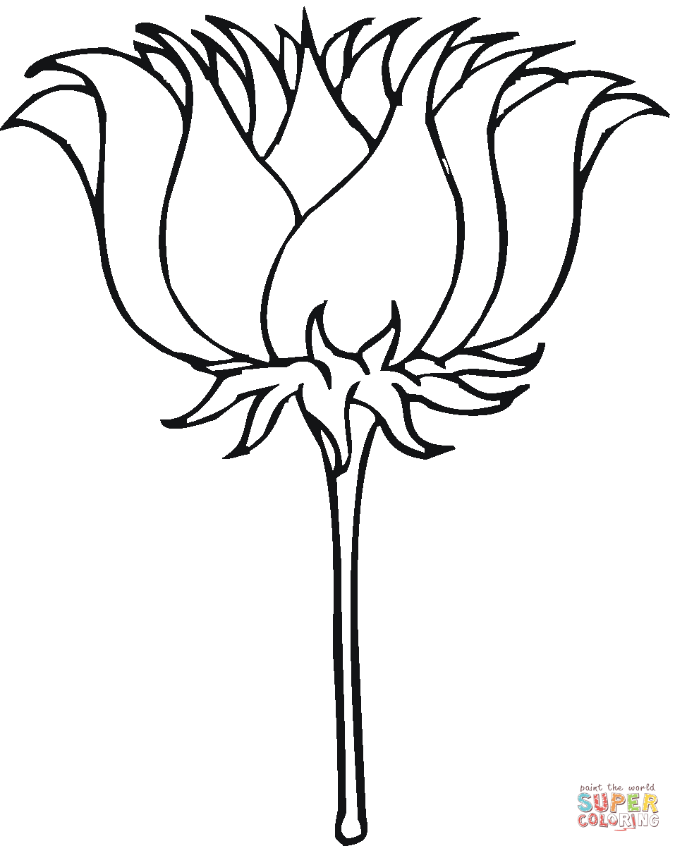 Lotus outline Coloring page | Free Printable Coloring Pages