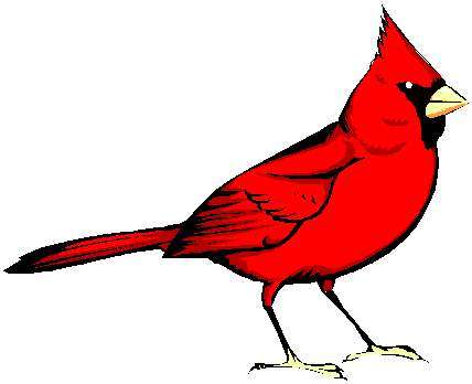cardinal.gif
