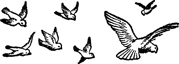 Flying Birds Clipart Black And White - Cliparts.co