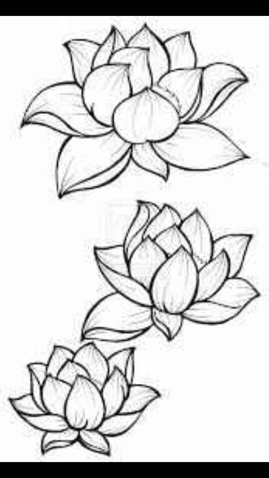 Lotus flower outline | Tattoos | Pinterest