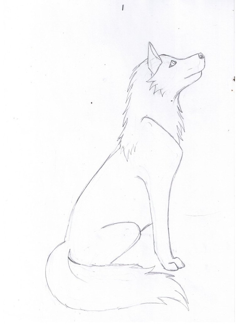 wolf_drawing_3_by_katy500-d2 ...