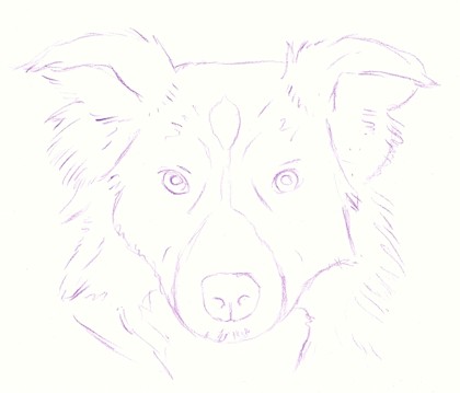 How to Draw a Dog