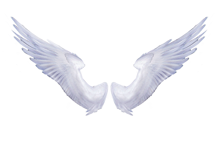 White Angel Wings 1 by SassiInks on deviantART | WALLSISTAH.COM