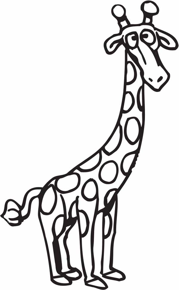 Confused Giraffe Coloring Page - NetArt