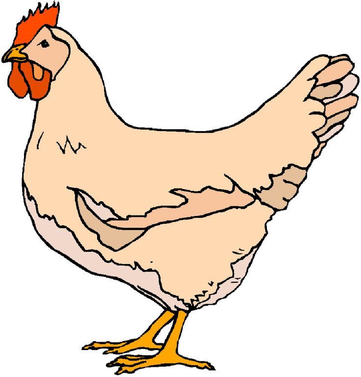 clip-art-chickens-497543.jpg (978×1021) | Art Direction: Duck Tape | …