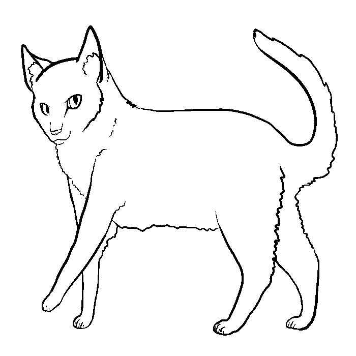 WOTP - Cat Lineart by LordMuffinX3 on deviantART