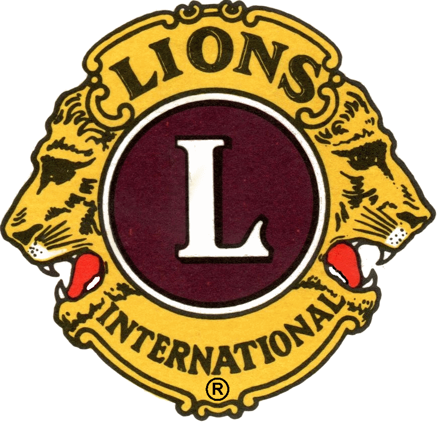 Lions Logo Png Images & Pictures - Becuo