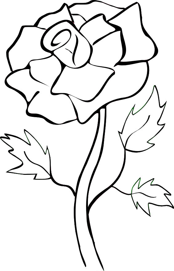 White Rose Clip Art - Noelle Nichols' Blog