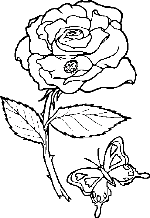 Rose And Butterfly Coloring Pages | Coloring Pages Trend
