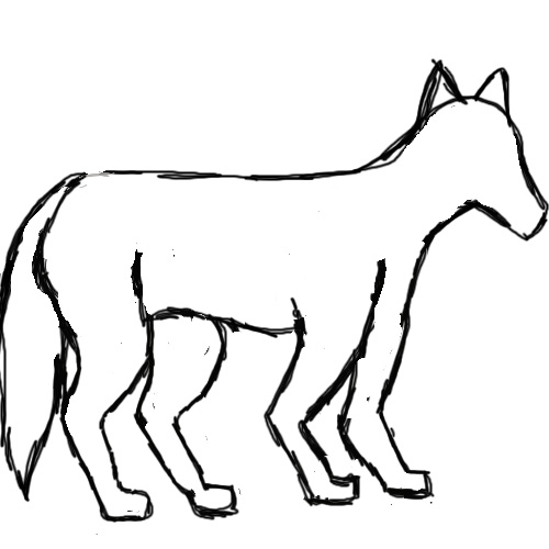 wolf drawing outline