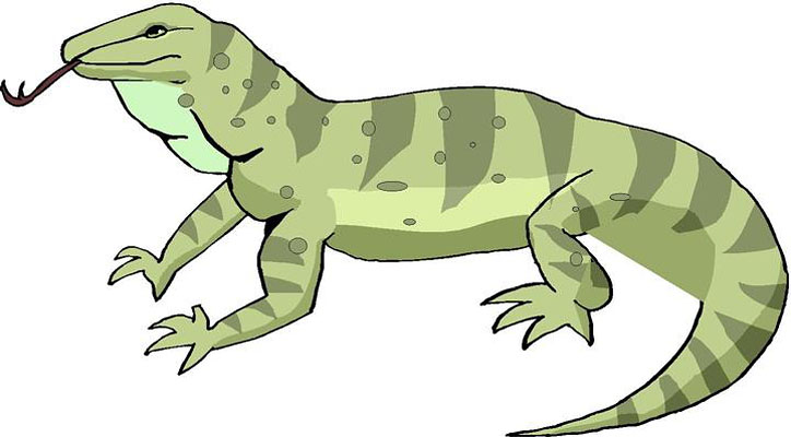 clipart pictures of lizards - photo #31
