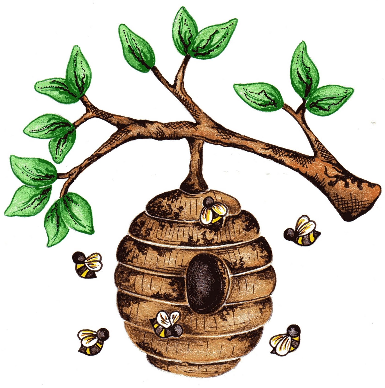 Bee Hive Image Cliparts co