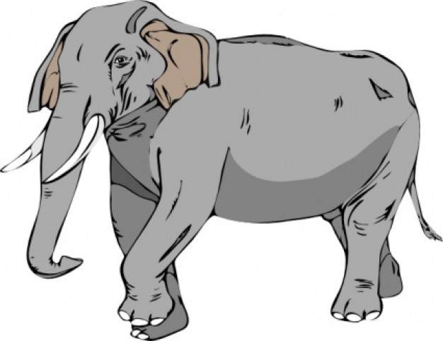 gray elephant Vector | Free Download