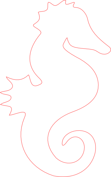 Sea Horse Outline - ClipArt Best