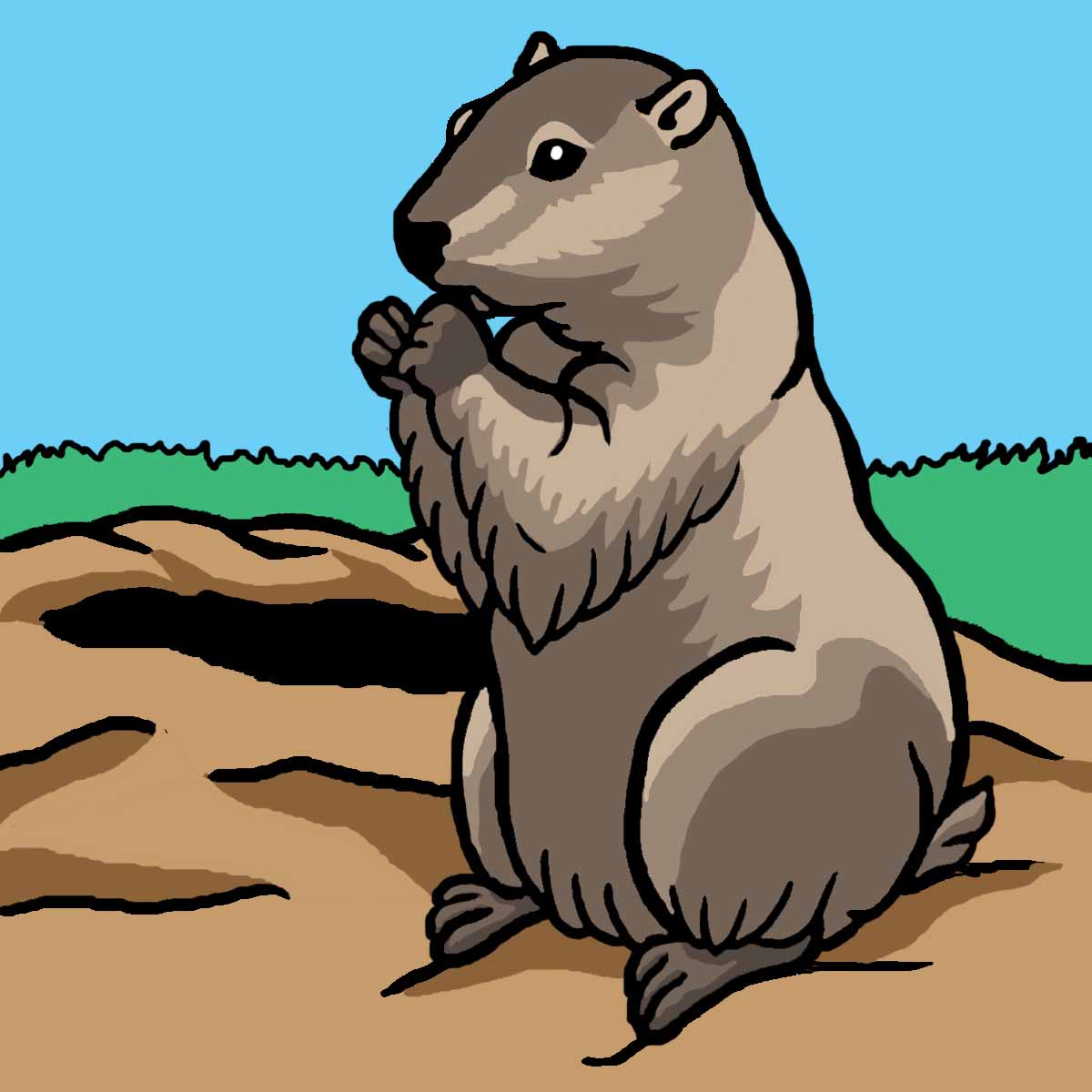 Images For > Cute Woodchuck Cartoon
