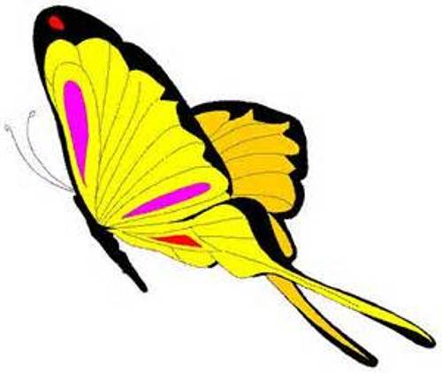Clipart Butterfly Clip Art | Clipart Panda - Free Clipart Images