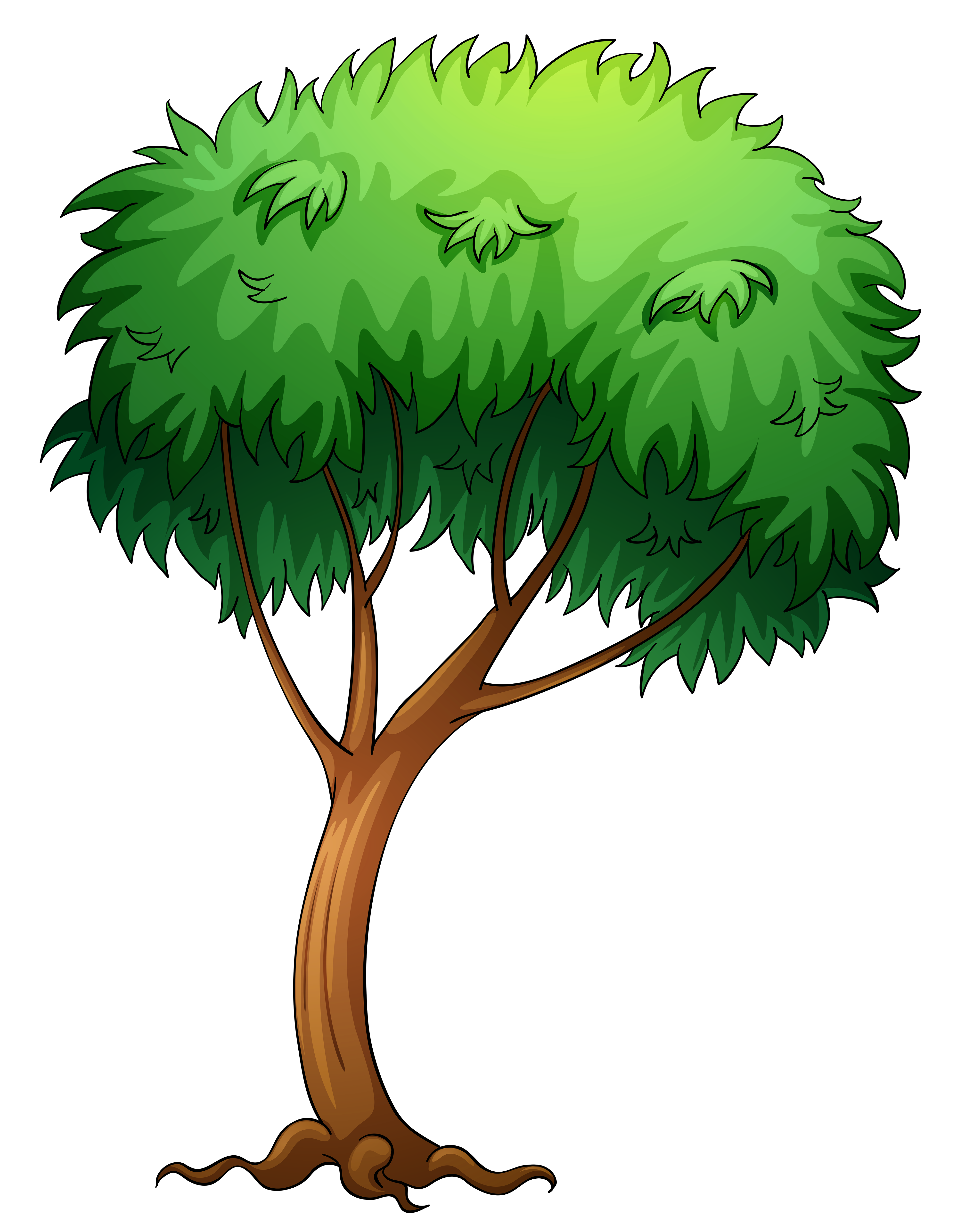 clipart images tree - photo #10
