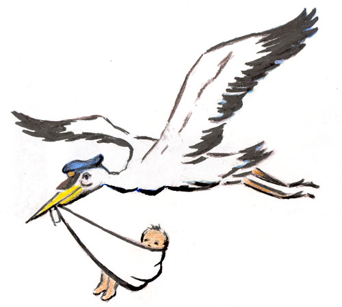 Pix For > Baby Delivery Stork