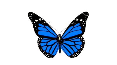 Blue Butterfly Animation Loop Stock Footage Video 967996 ...