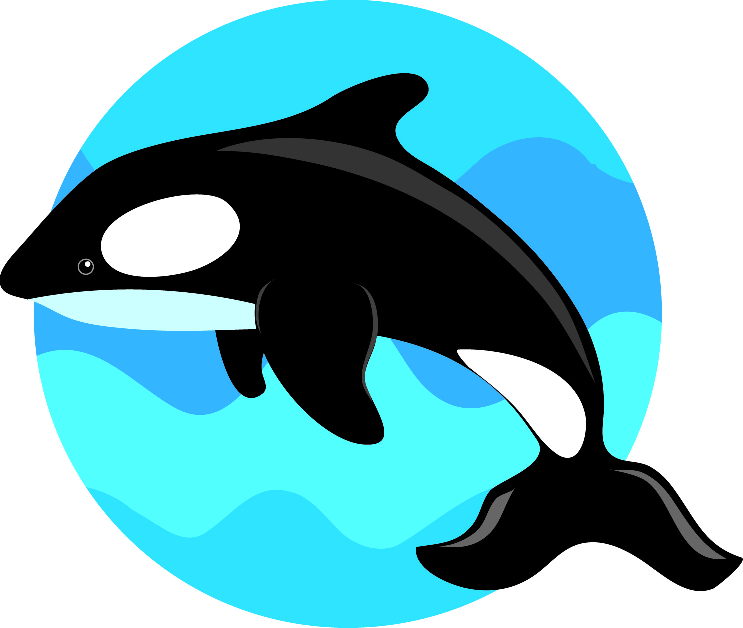 Jumping the whale vector Free Vector / 4Vector