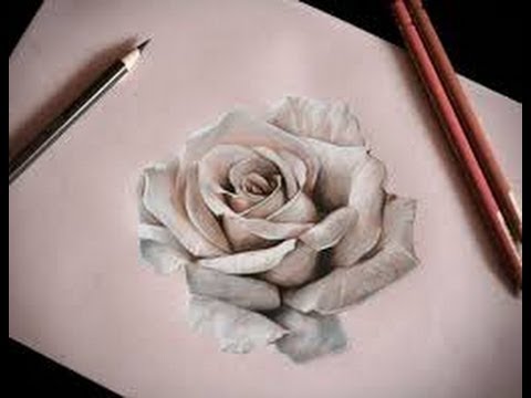 How to draw realistic rose - Drawing a Realistic Rose - YouTube