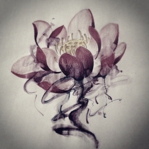 Lotus Drawing Tumblr - Gallery