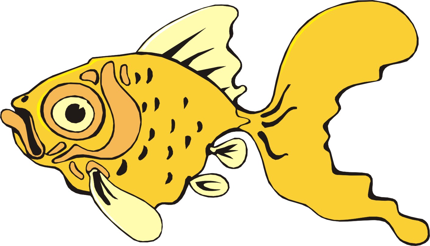 Cartoon Fish Pictures