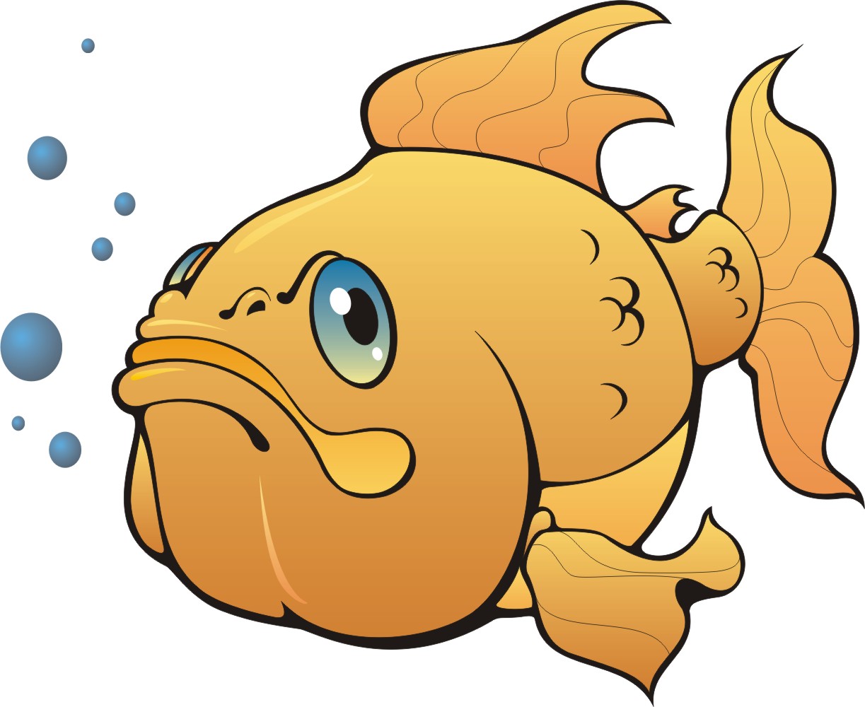 Funny Looking Cartoon Fish Images & Pictures - Becuo