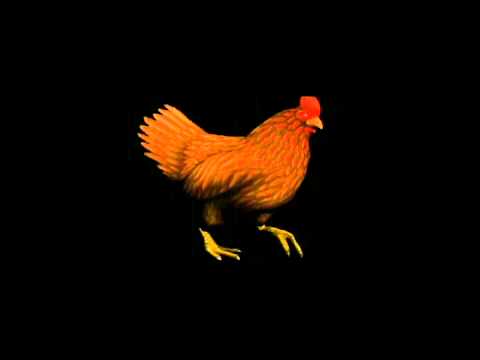 Chicken WALK Animation (for Unity 3D) - YouTube