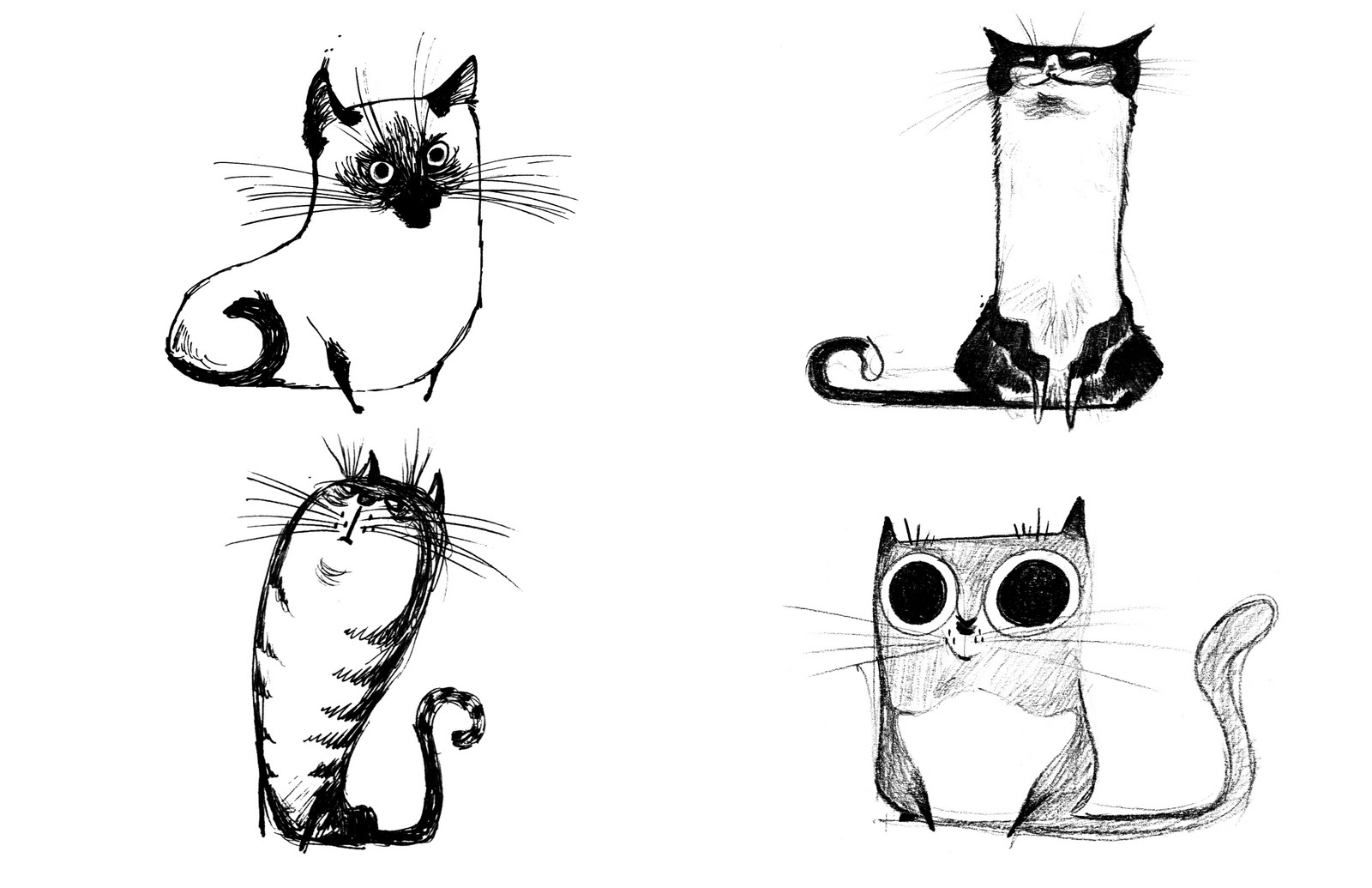 Cat Drawings Cliparts.co