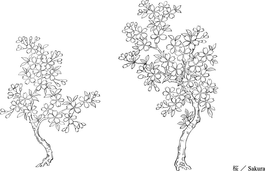Vector line drawing of flowers--41Cherry, classical background ...