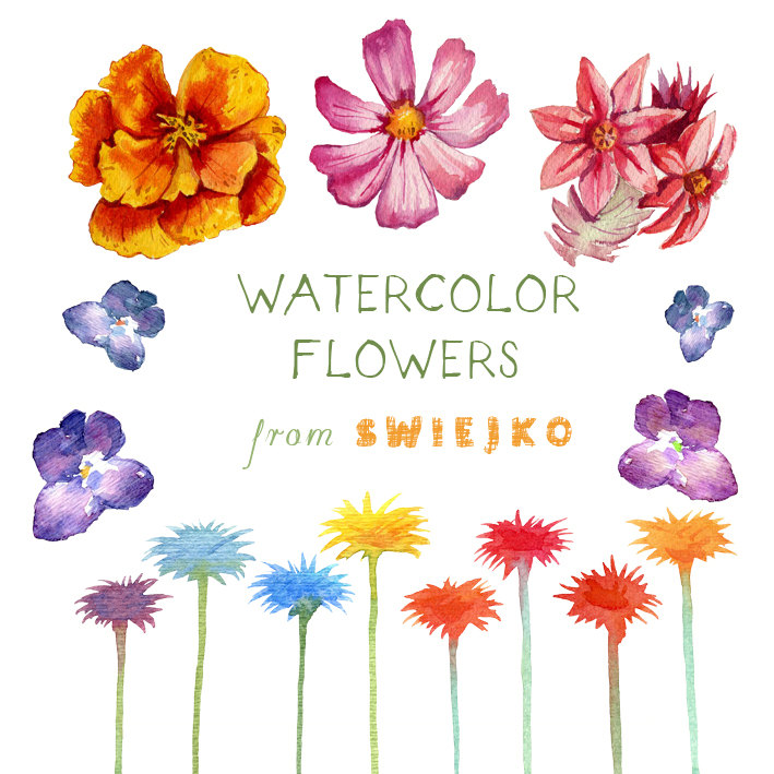 Digital Clipart watercolor flowers daisies by SwiejkoForPrint