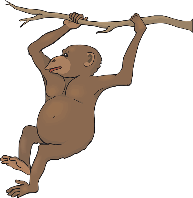 Free Swinging Monkey Clip Art