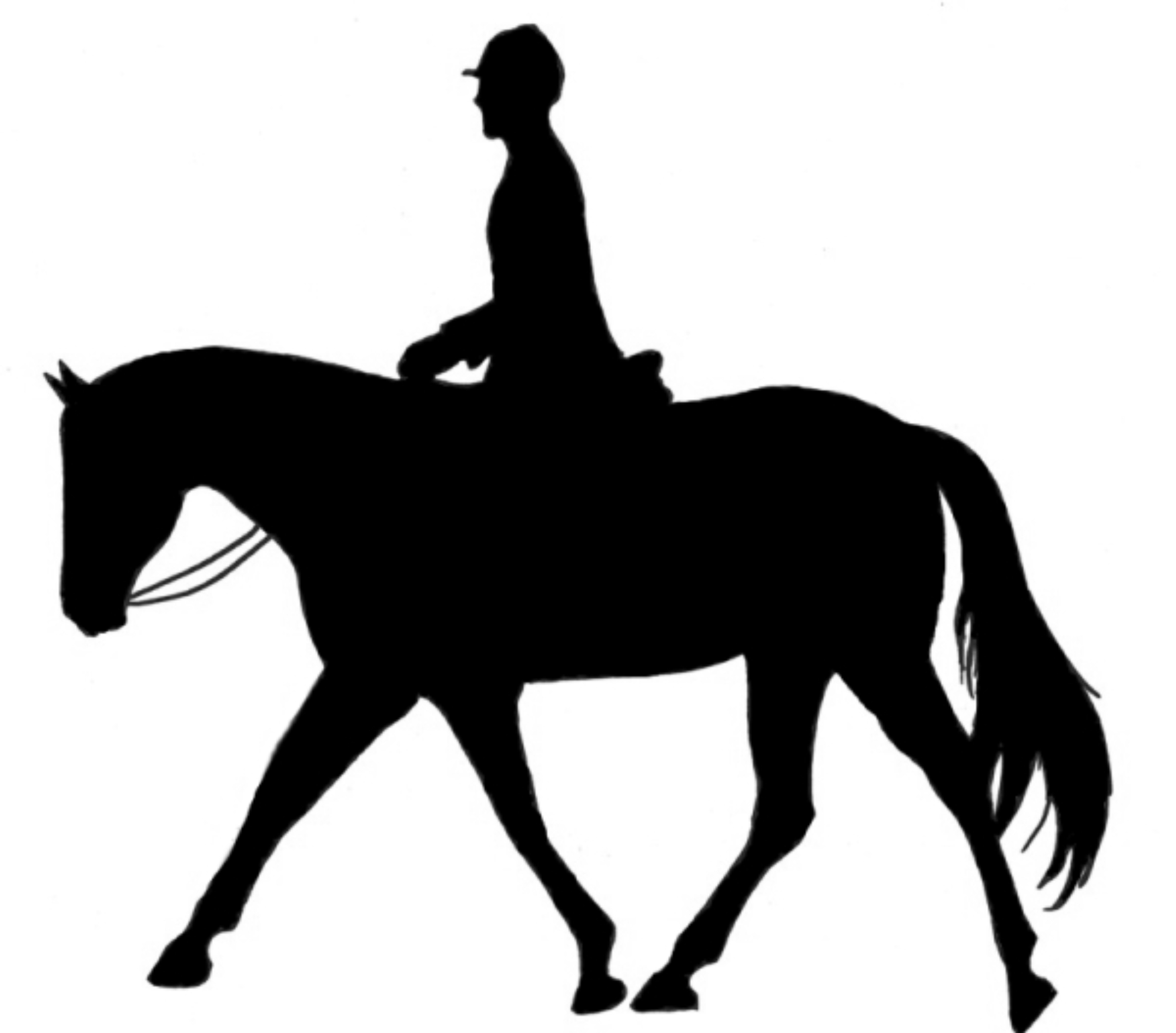 Images For > English Horse Riding