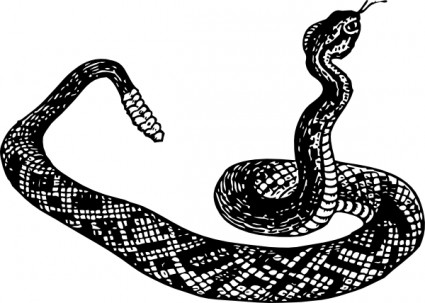 Rattle Snake clip art Vector clip art - Free vector for free download