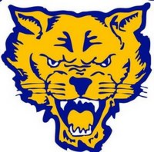Fvsu Wildcats Logo image - vector clip art online, royalty free ...