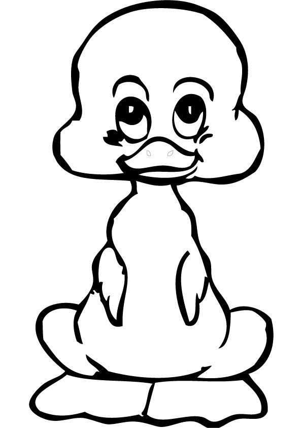 Baby Duck Drawing Images & Pictures - Becuo