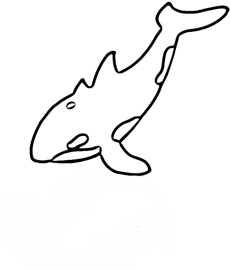 Killer Whale Clip Art - Cliparts.co