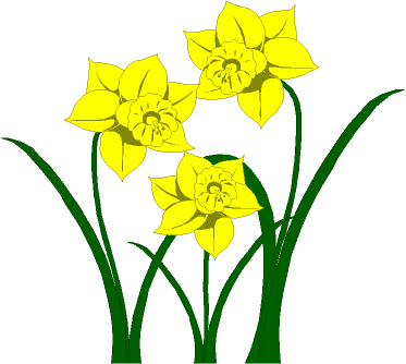 Images Of Daffodils - ClipArt Best