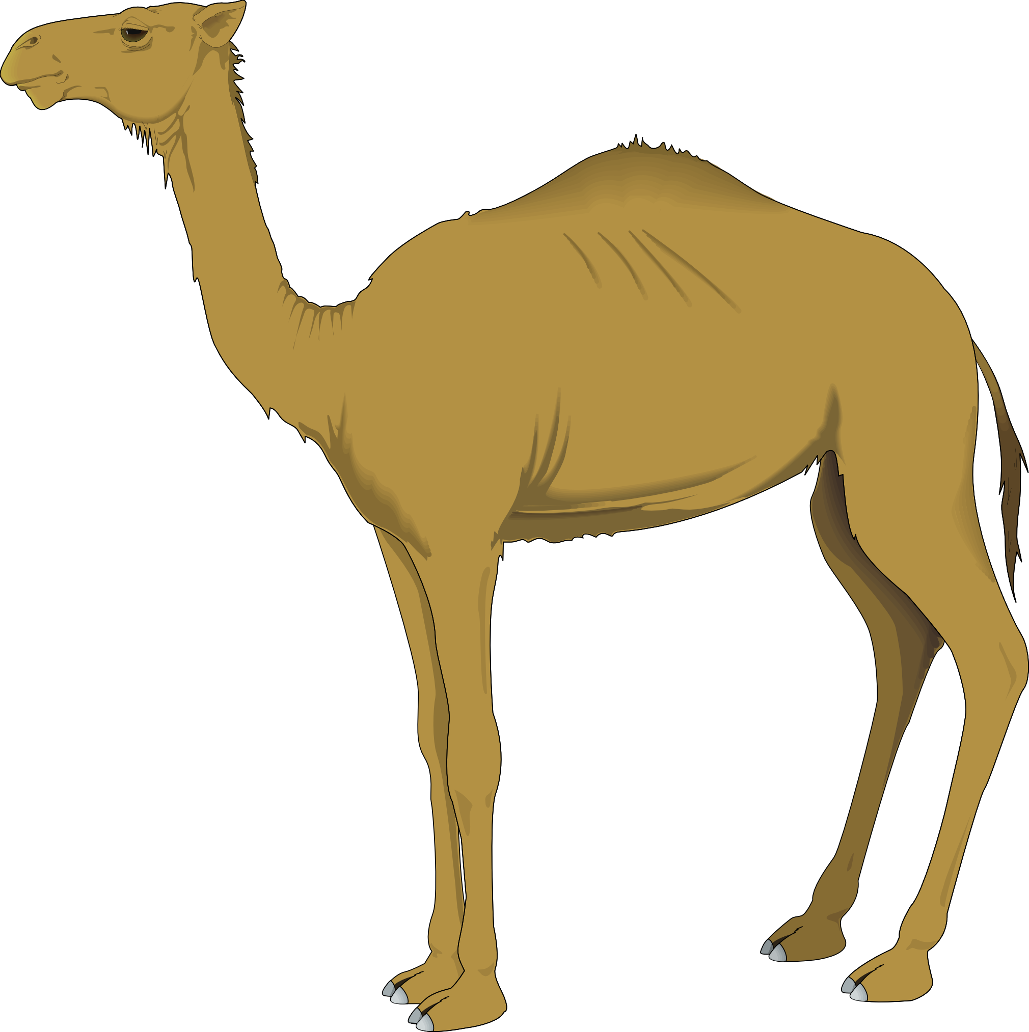camel SVG · Camel clip art | Clipart Panda - Free Clipart Images