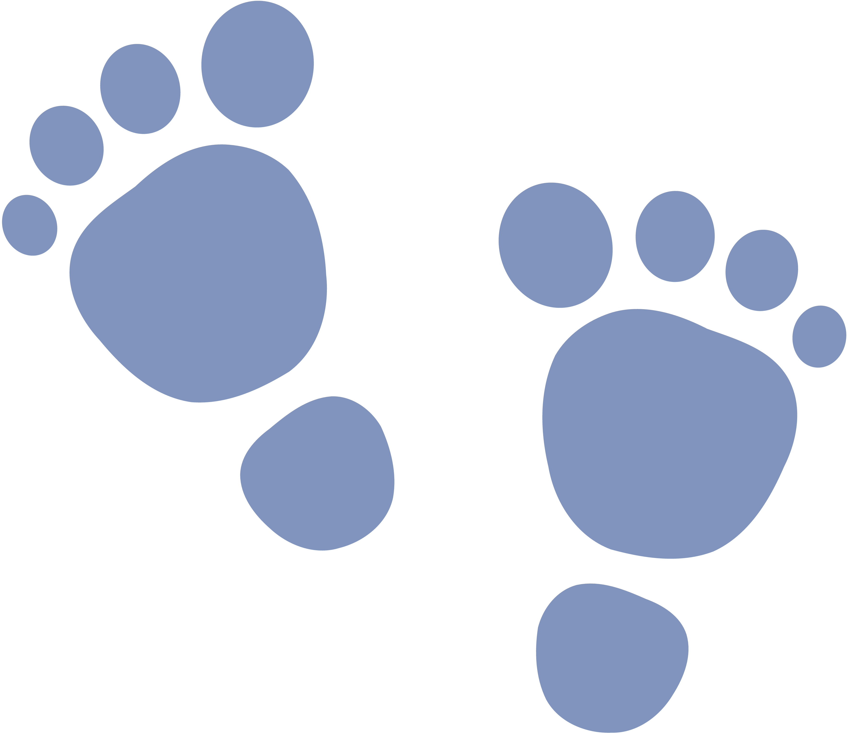Images For > Footsteps Clipart