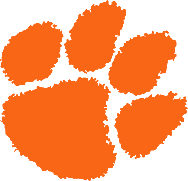 Clemson Tiger Paw Cake Ideas and Designs