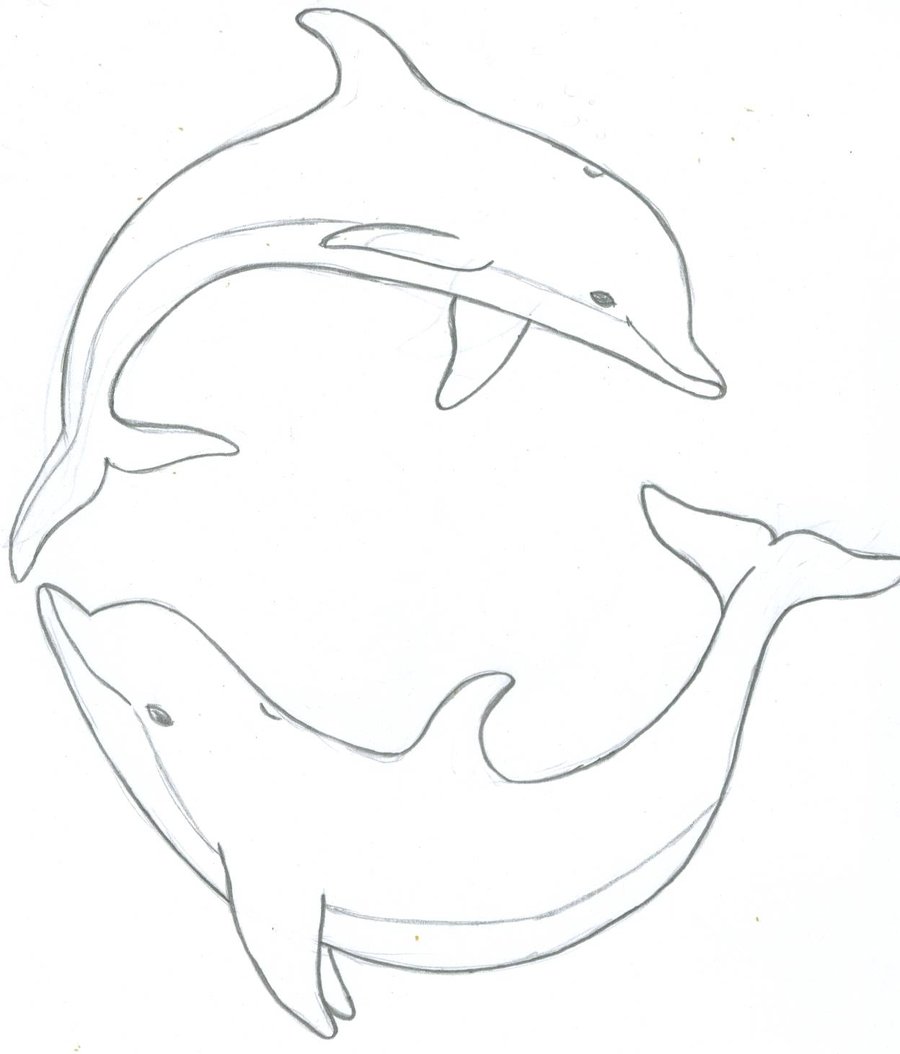 Dolphin coloring pages for kids - Coloring Pages & Pictures - IMAGIXS