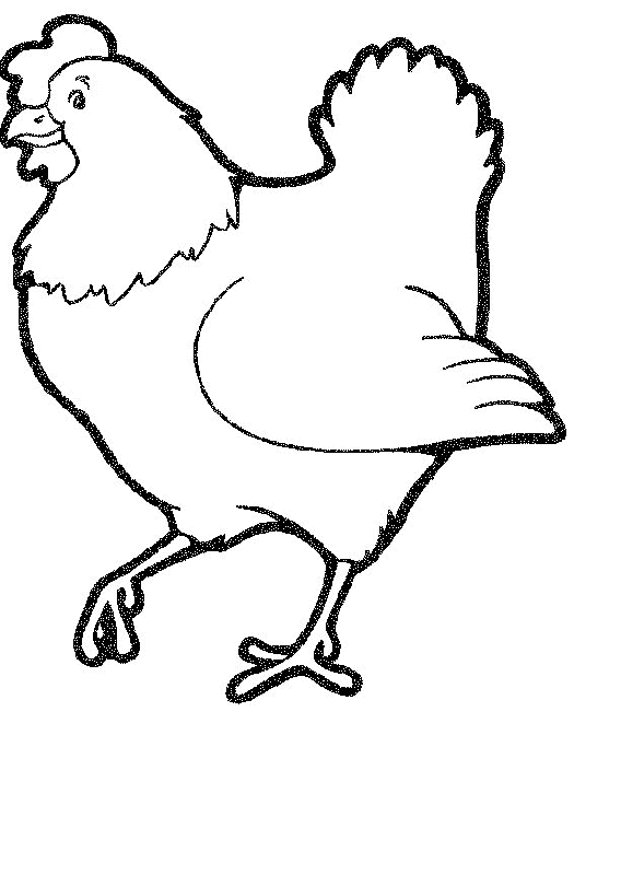 Chicken Line Drawing - ClipArt Best