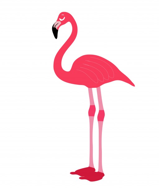 Pink Flamingo Clipart | animalgals